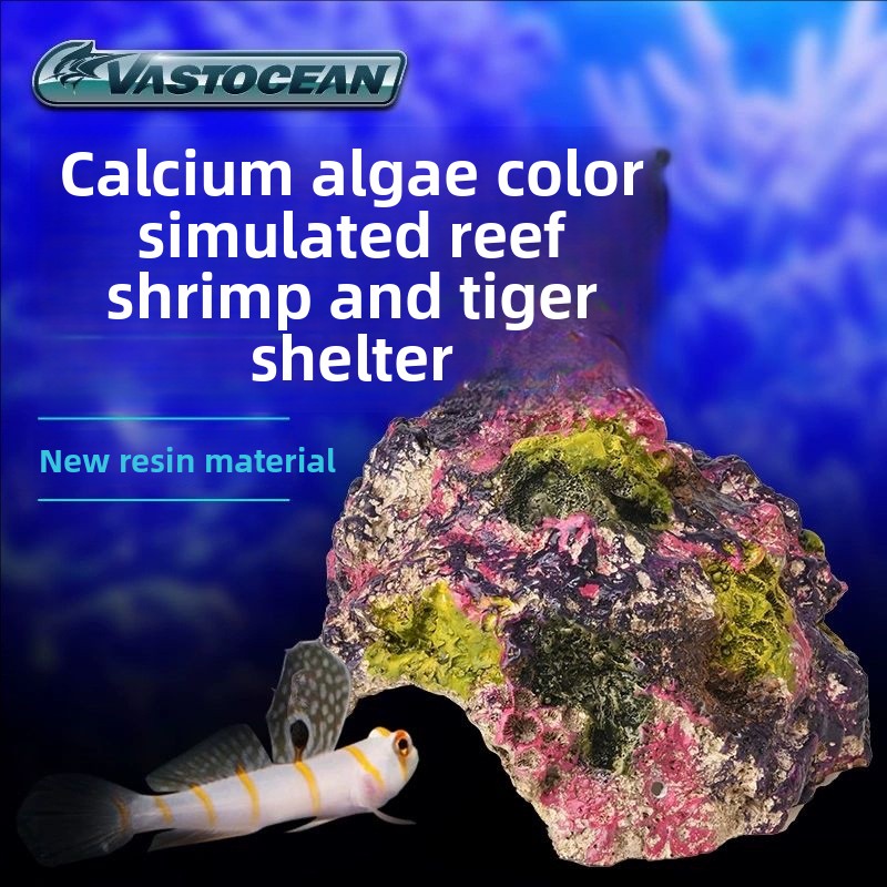 Marine Aquarium Hermit Crab - فستان حوض السمك للمياه المالحة من