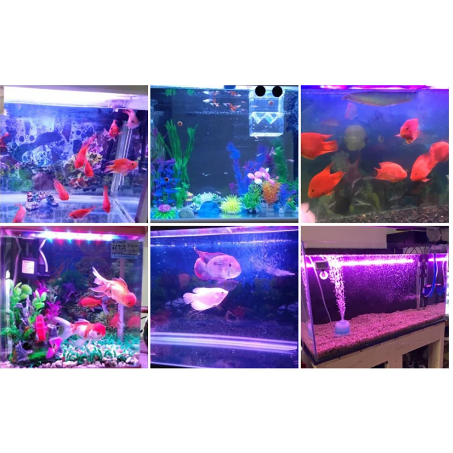Aquarium Blue Marine - إضاءة LED متعددة الألوان للأحواض المائية