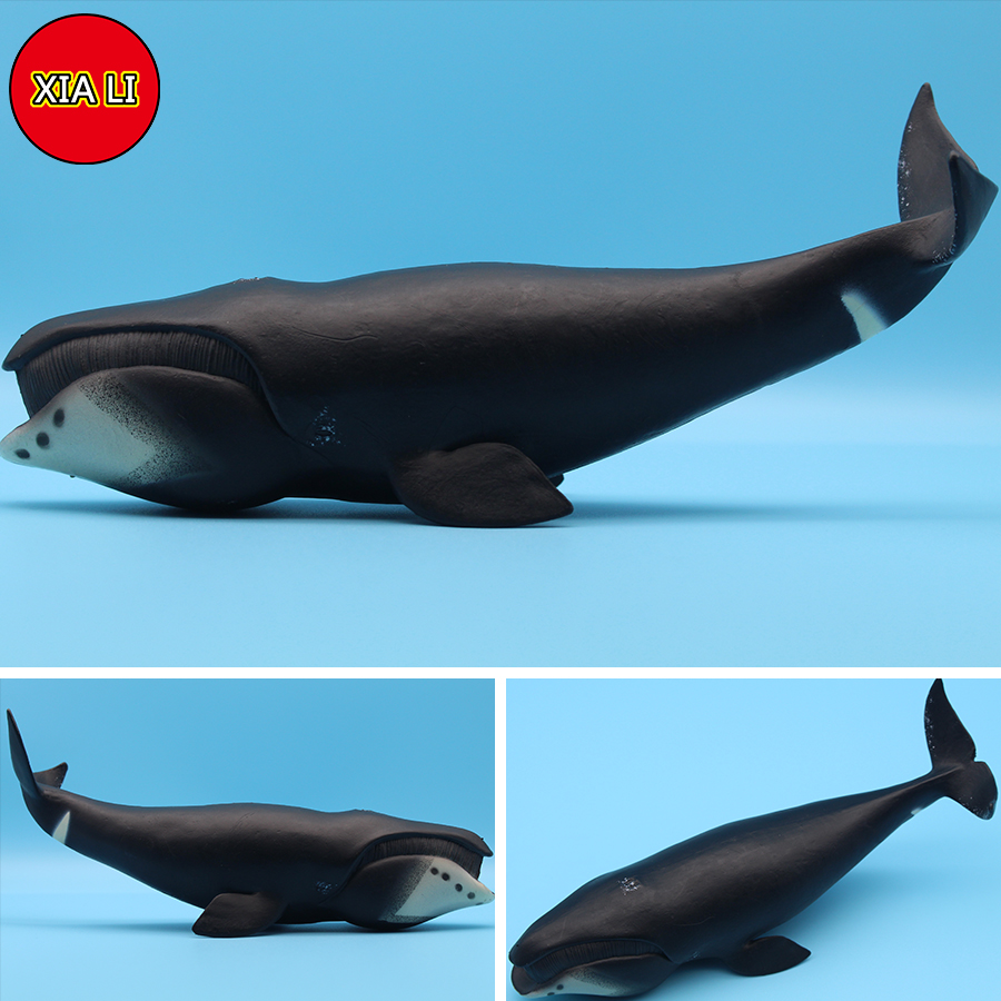 مجسمات حيوانات بحرية محاكية لل - مراجعة Aquarium Blue Marine وسعره