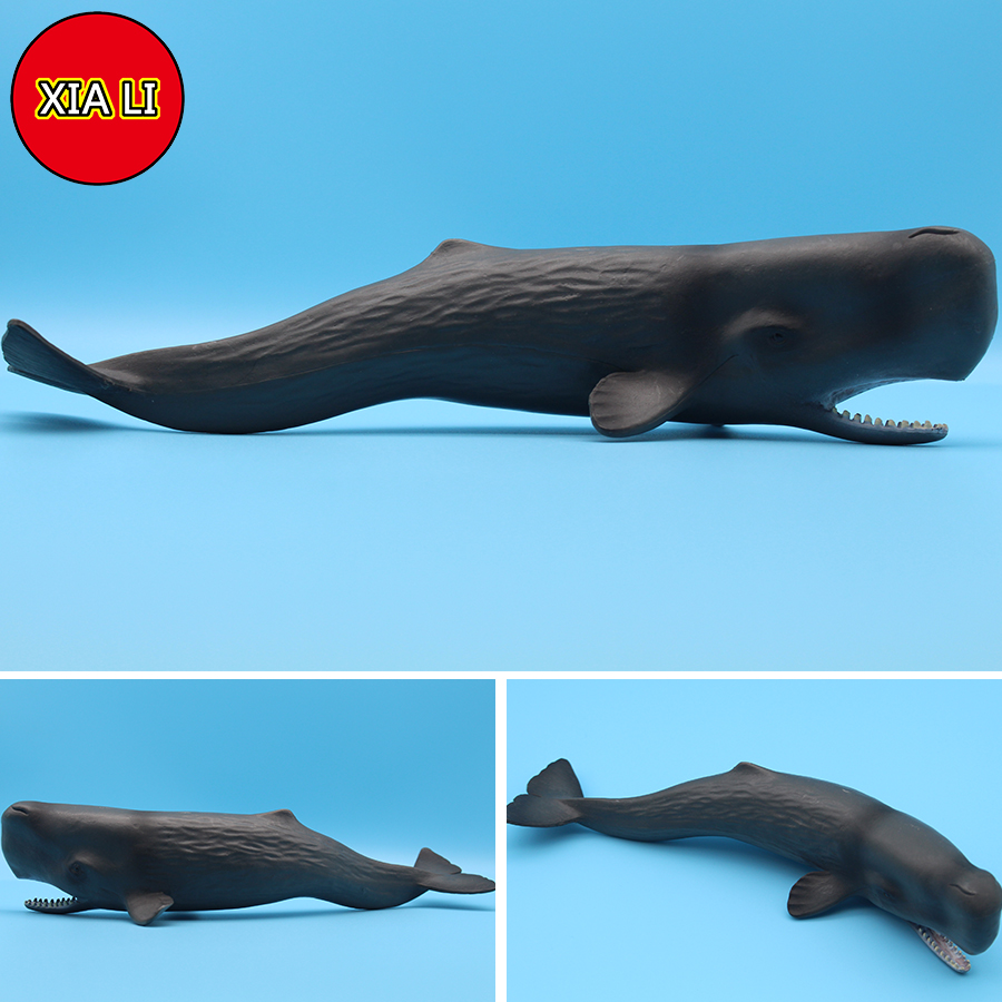 مجسمات حيوانات بحرية محاكية لل - مراجعة Aquarium Blue Marine وسعره