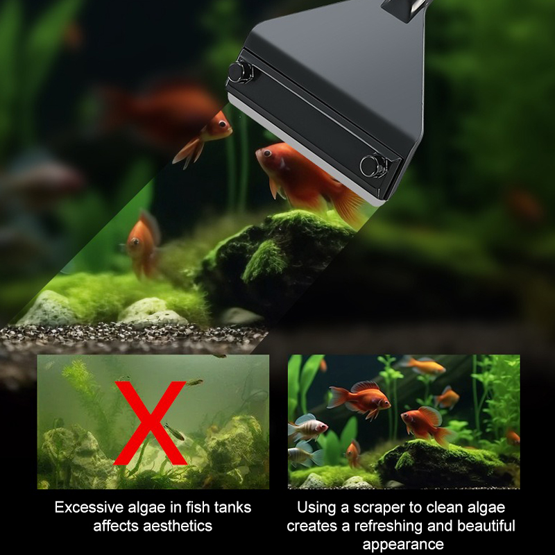 حوض السمك الطحالب مزيل سبائك ا - مراجعة Marine Aquarium Glass Scraper وسعره