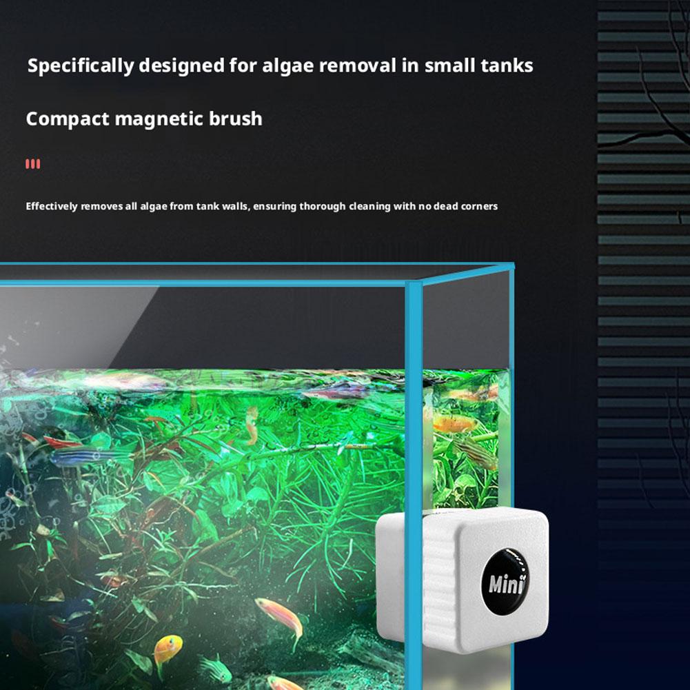 منظف زجاج حوض السمك المغناطيسي - مراجعة Marine Aquarium Glass Scraper وسعره