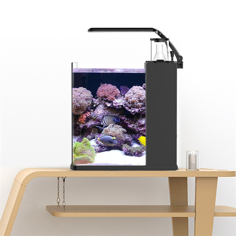 حوض سمك زجاجي فائق الوضوح من س - مراجعة Marine Aquarium Cube وسعره