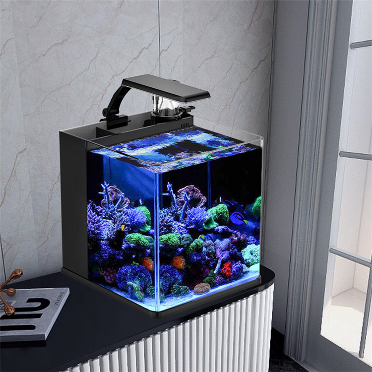 حوض سمك زجاجي فائق الوضوح من س - مراجعة Marine Aquarium Cube وسعره