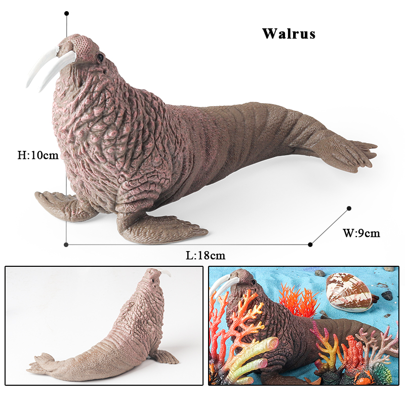 نموذج حيوانات بحرية جديد من Oe - مراجعة Aquarium Blue Marine وسعره