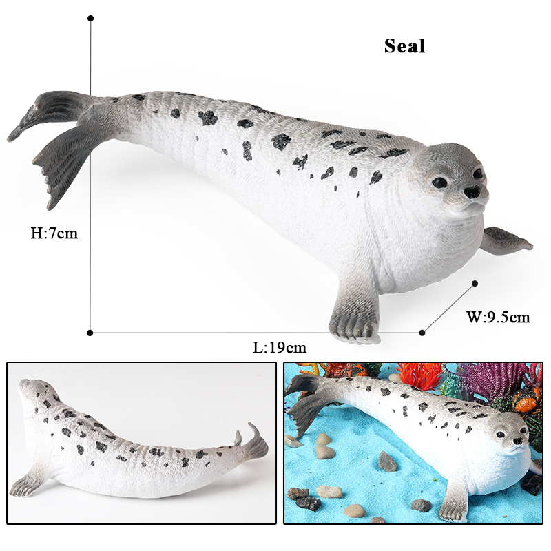 نموذج حيوانات بحرية جديد من Oe - مراجعة Aquarium Blue Marine وسعره