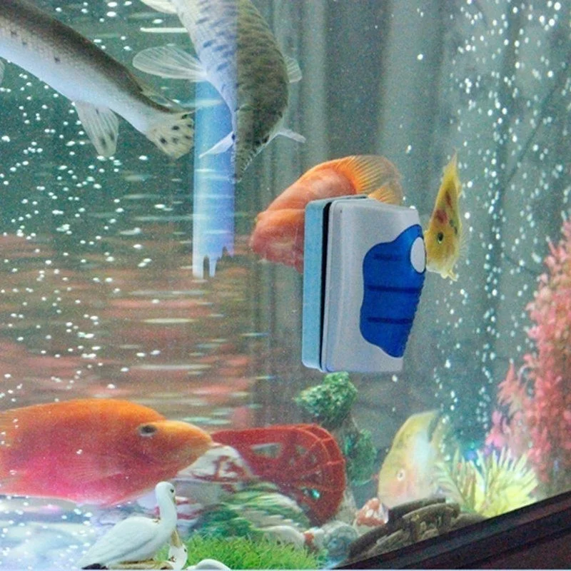 منظف مكشطة زجاجية لخزان الأسما - مراجعة Marine Aquarium Glass Scraper وسعره