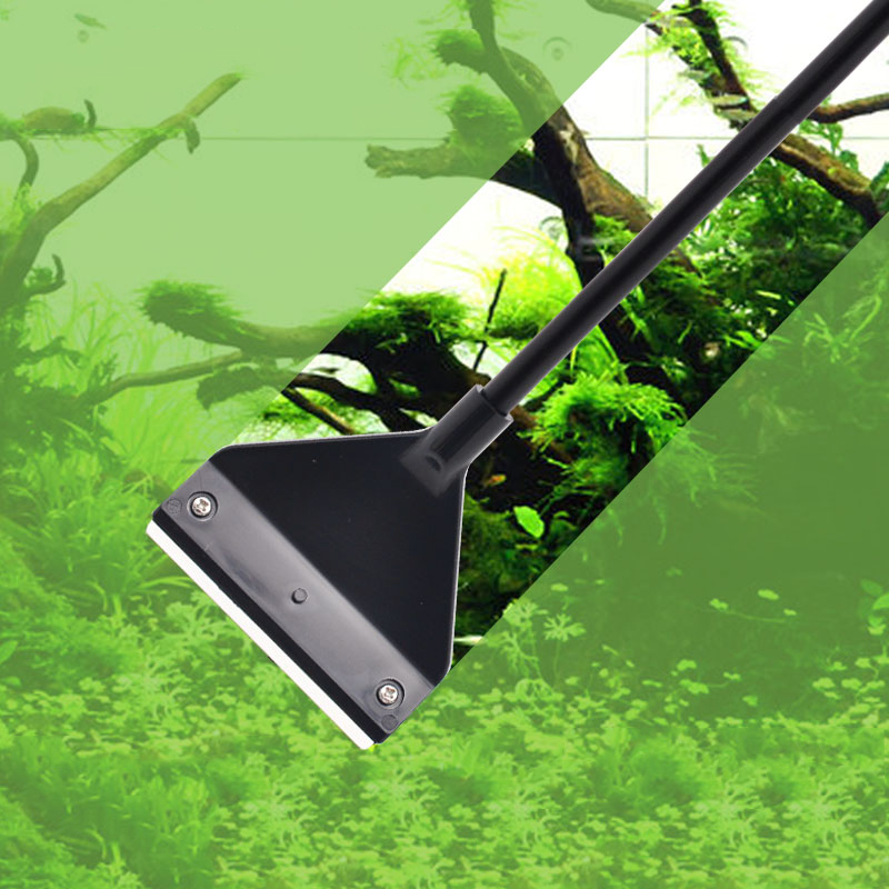 حوض السمك الطحالب مزيل سبائك ا - مراجعة Marine Aquarium Glass Scraper وسعره