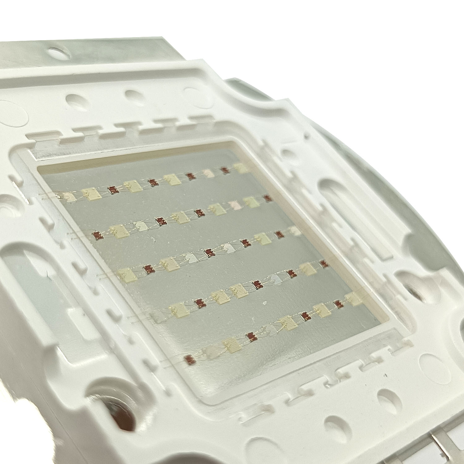 إضاءة LED للأحواض المائية بقوة - مراجعة Aquarium Blue Marine وسعره