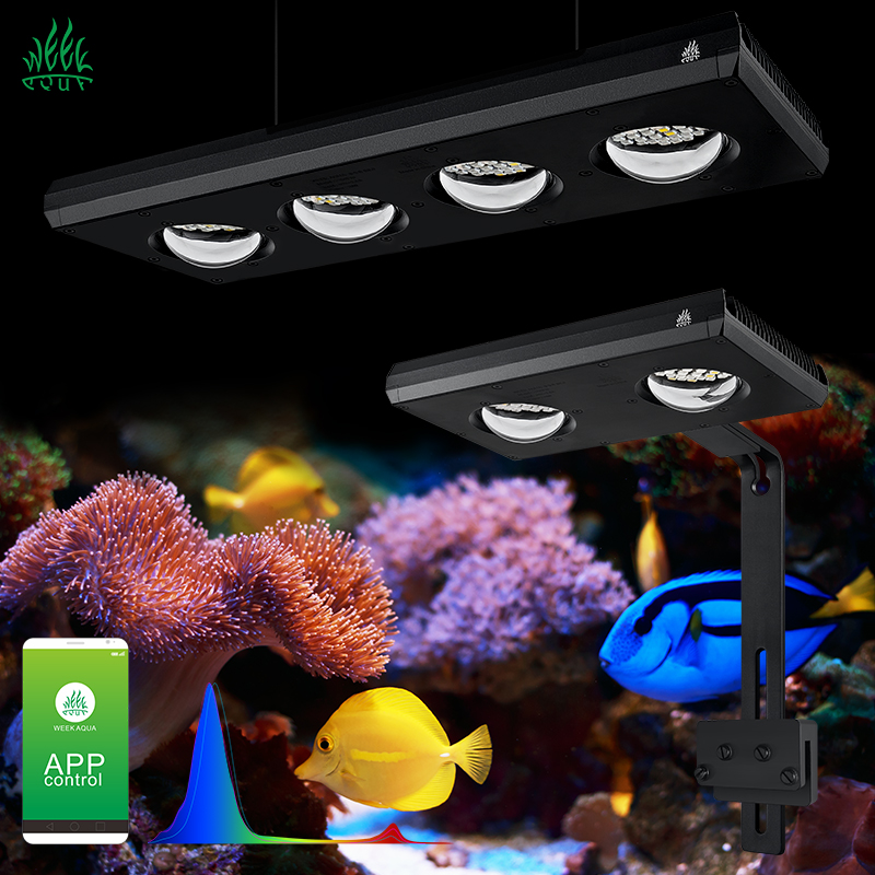 ZXY رائجة البيع WEEKAQUA Z250  - مراجعة Aquarium Blue Marine وسعره