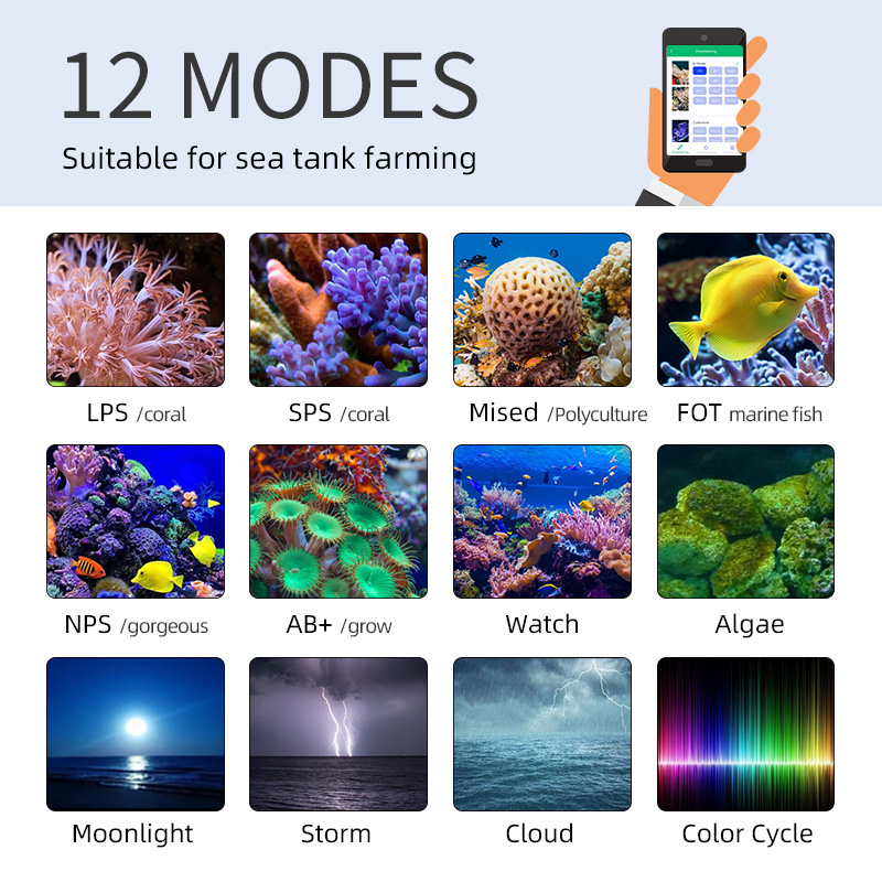 ZXY رائجة البيع WEEKAQUA Z250  - مراجعة Aquarium Blue Marine وسعره