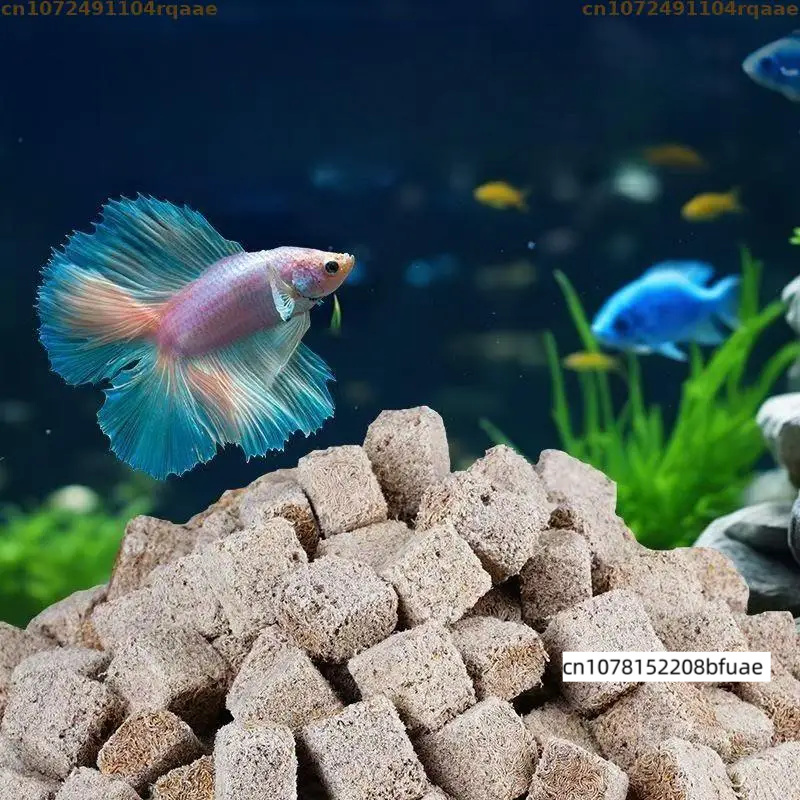 مكمل غذائي لأسماك الأحواض الما - مراجعة Marine Aquarium Cube وسعره
