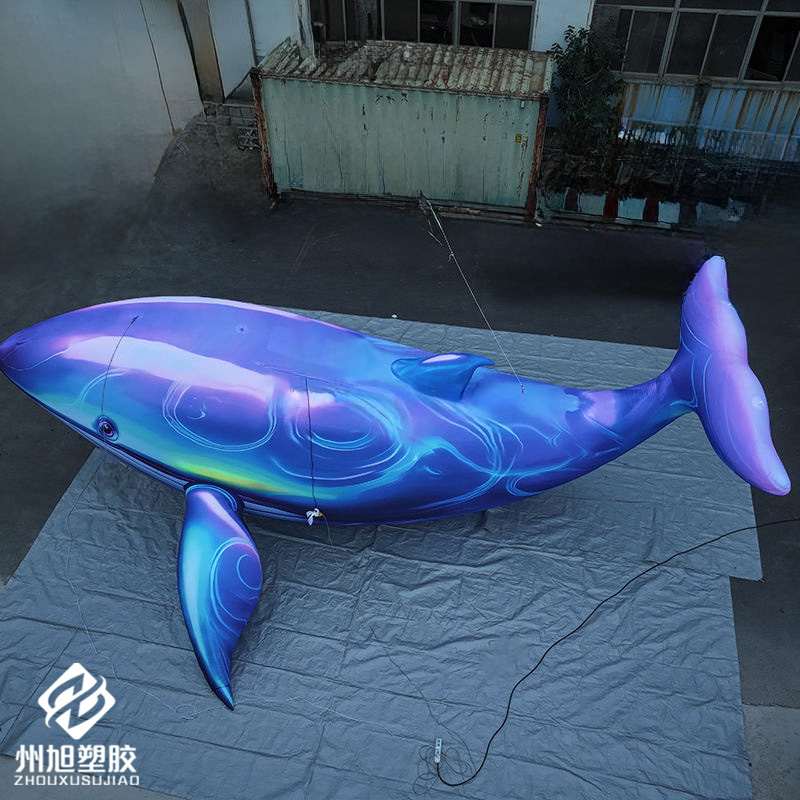 حوت أزرق قابل للنفخ، يستخدم كق - مراجعة Aquarium Blue Marine وسعره