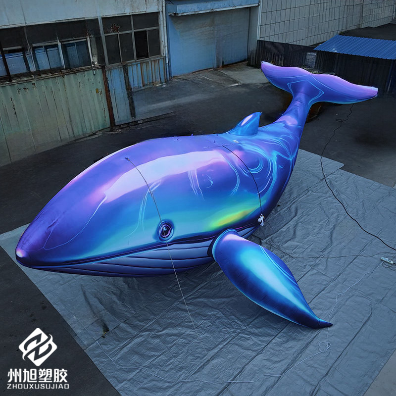 حوت أزرق قابل للنفخ، يستخدم كق - مراجعة Aquarium Blue Marine وسعره