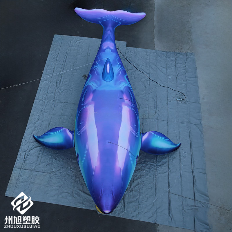 حوت أزرق قابل للنفخ، يستخدم كق - مراجعة Aquarium Blue Marine وسعره