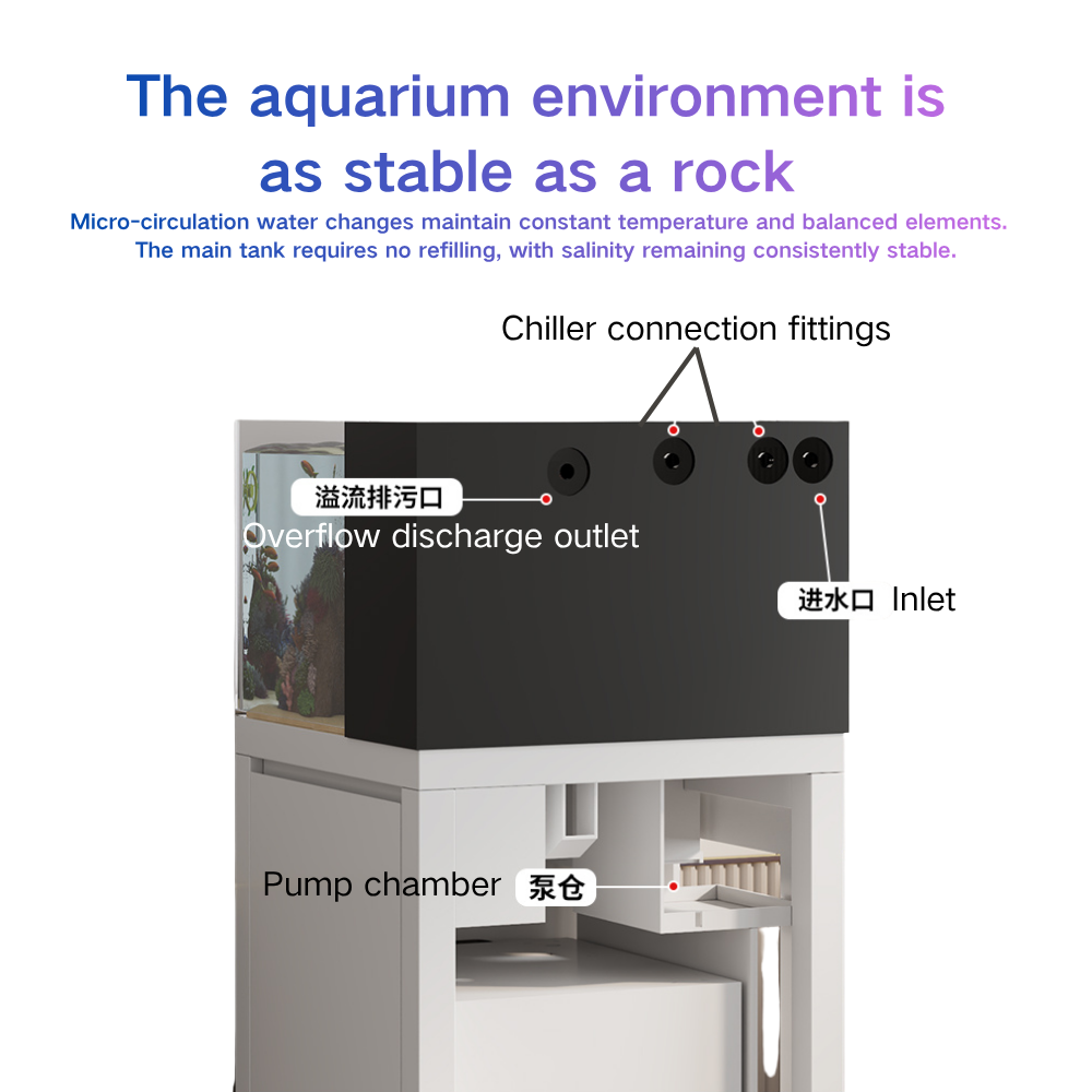 حوض سمك ذكي مع نظام تغيير مياه - مراجعة Marine Aquarium Cube وسعره