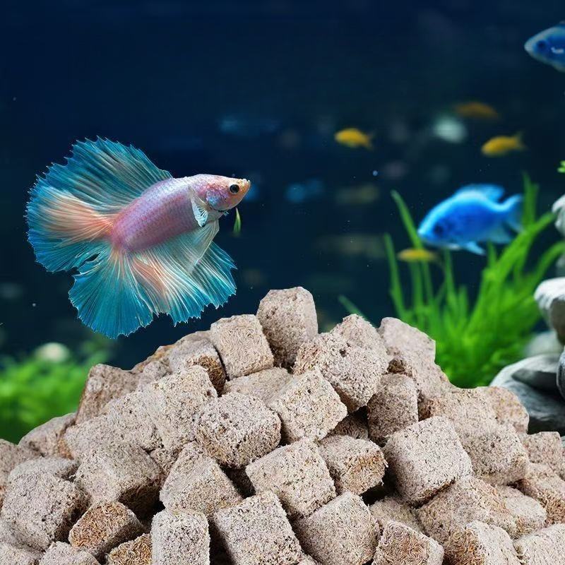 تجميد طبيعي ديدان الدم المجففة - مراجعة Marine Aquarium Cube وسعره