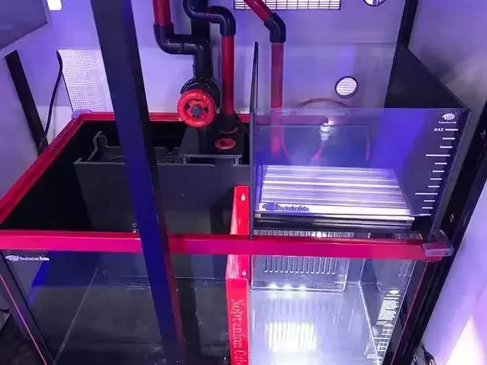 مصباح LED لحوض السمك البحري Ne - مراجعة Marine Aquarium Cube وسعره