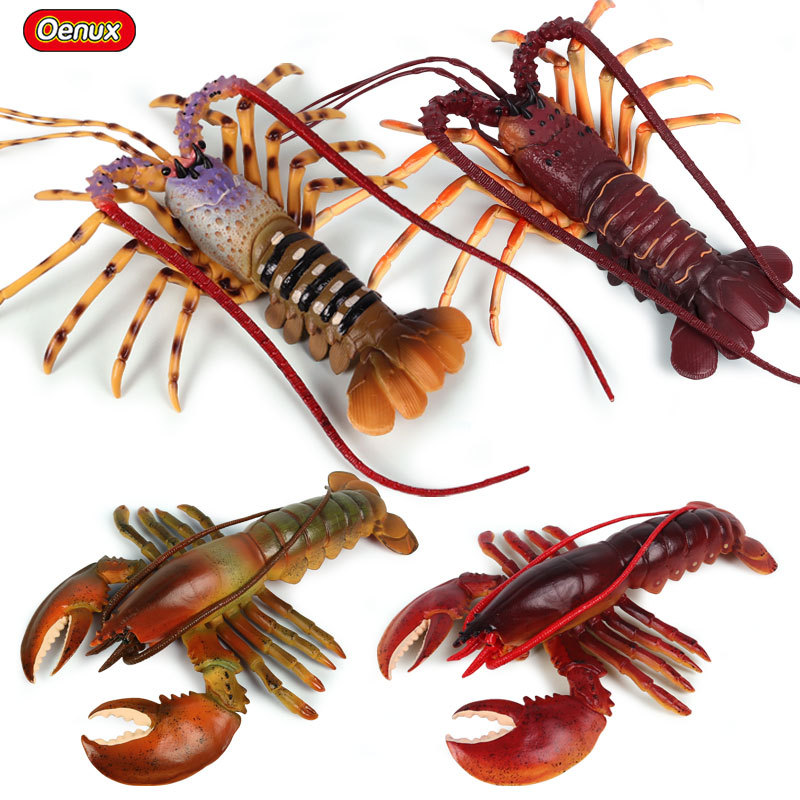 تماثيل واقعية للحياة البحرية:  - مراجعة Marine Aquarium Hermit Crab وسعره