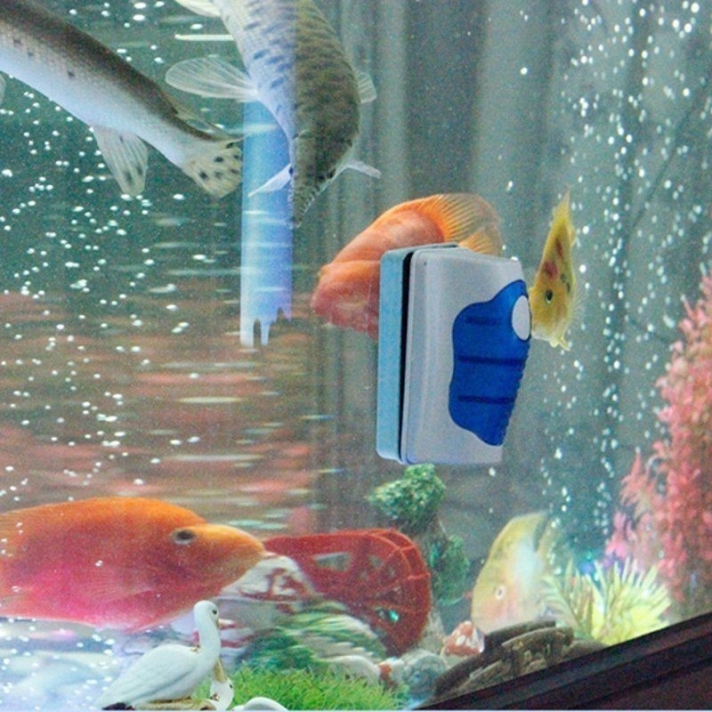 منظف مكشطة زجاجية لخزان الأسما - مراجعة Marine Aquarium Glass Scraper وسعره